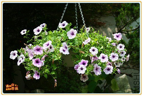 ��Ƭ 096_����.jpg