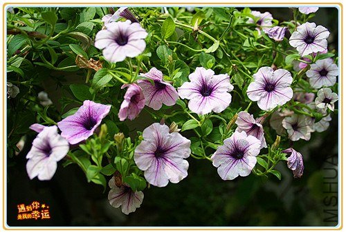 ��Ƭ 100_����.jpg