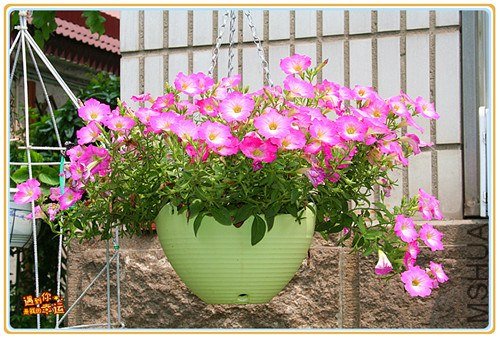 ��Ƭ 102_����.jpg