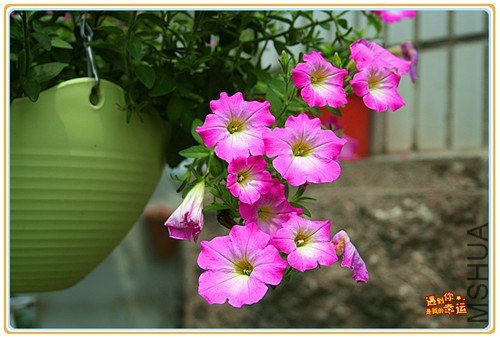 ��Ƭ 106_����.jpg