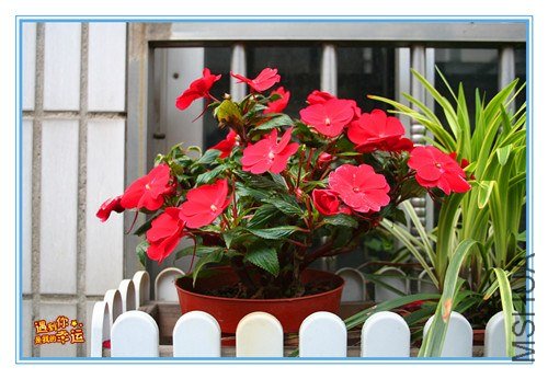 ��Ƭ 015_����.jpg