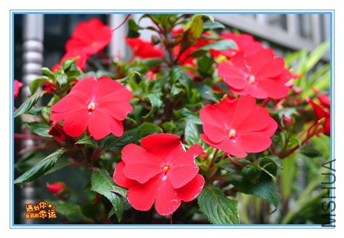 ��Ƭ 017_����.jpg