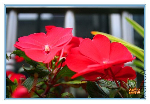 ��Ƭ 019_����.jpg