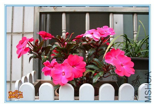 ��Ƭ 022_����.jpg