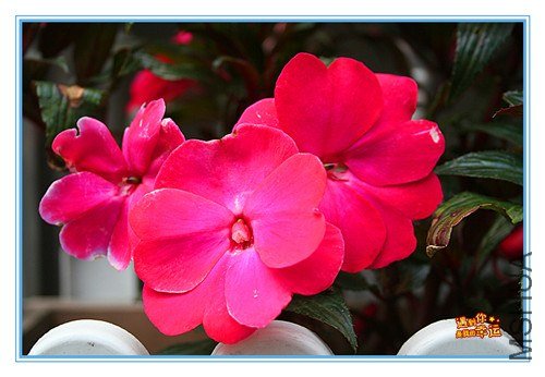 ��Ƭ 024_����.jpg