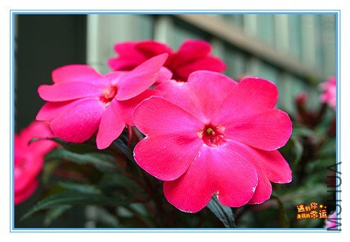 ��Ƭ 025_����.jpg