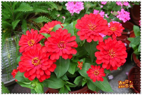 ��Ƭ 078_����.jpg