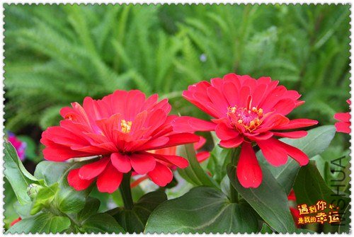 ��Ƭ 079_����.jpg