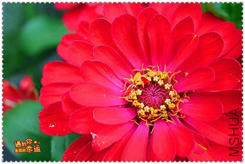 ��Ƭ 080_����.jpg