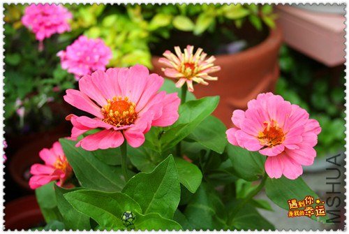 ��Ƭ 084_����.jpg