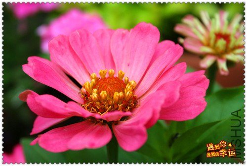 ��Ƭ 087_����.jpg