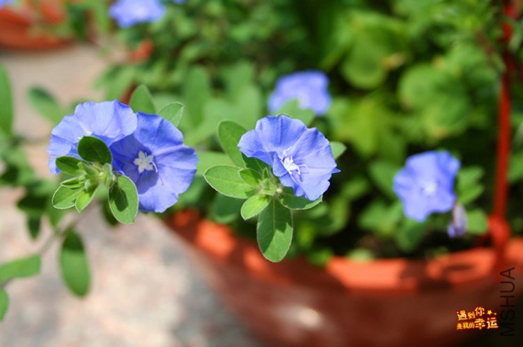 ��Ƭ 050_����.jpg