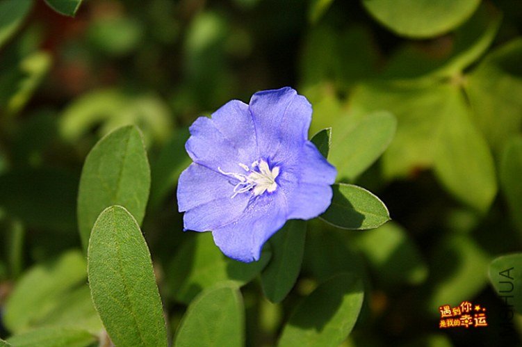 ��Ƭ 052_����.jpg