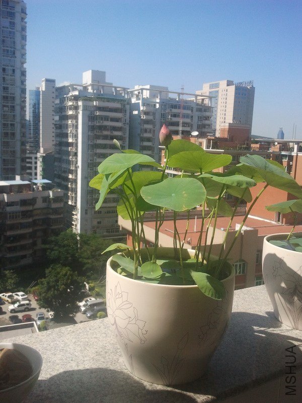 IMG_20130709_150644.jpg