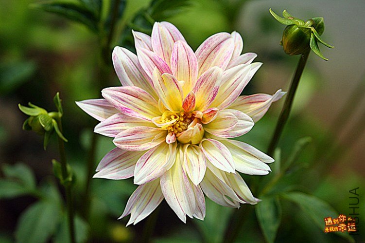 ��Ƭ 225_����.jpg