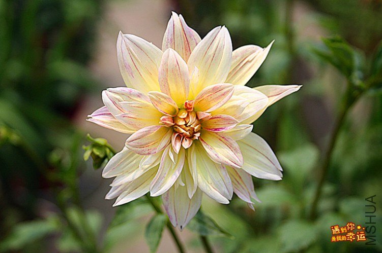 ��Ƭ 226_����.jpg