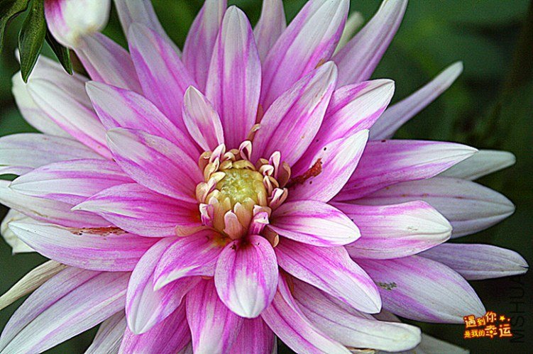 ��Ƭ 098_����.jpg