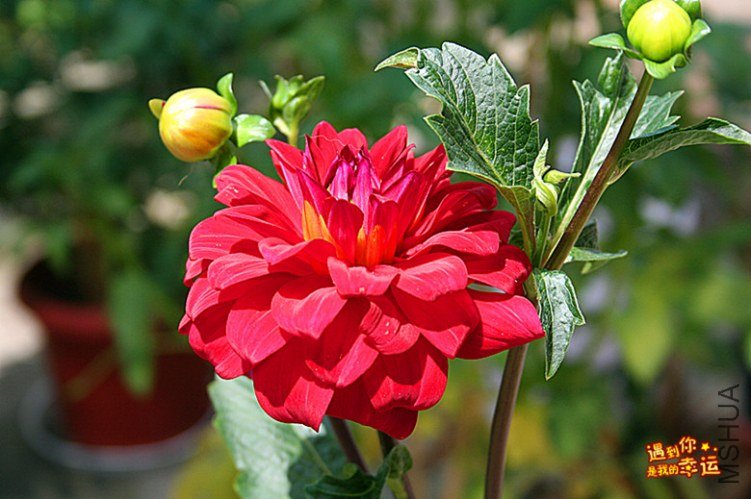 ��Ƭ 045_����.jpg