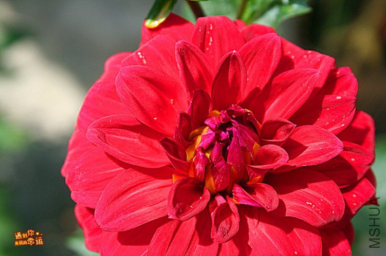 ��Ƭ 046_����.jpg