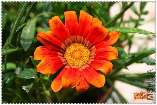 ��Ƭ 202_����.jpg