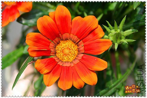 ��Ƭ 203_����.jpg