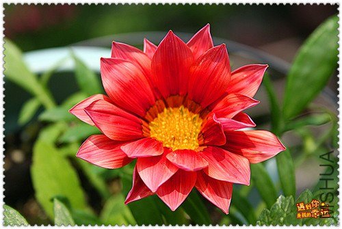 ��Ƭ 206_����.jpg