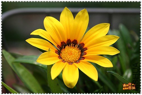 ��Ƭ 208_����.jpg