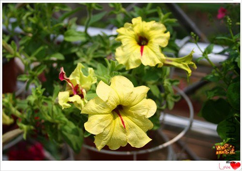 ��Ƭ 216_����.jpg