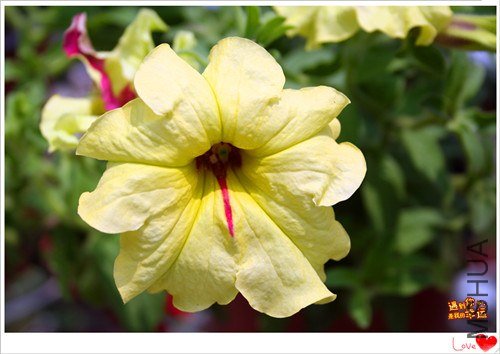 ��Ƭ 217_����.jpg