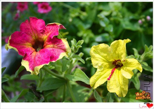 ��Ƭ 218_����.jpg