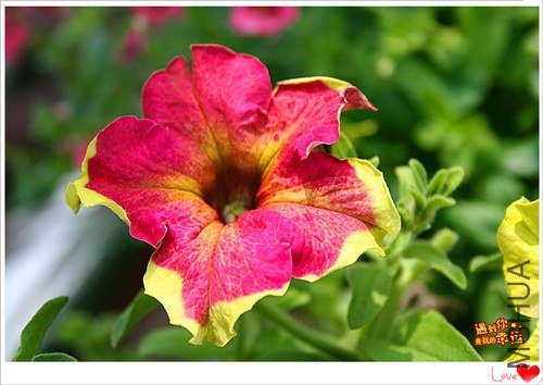 ��Ƭ 220_����.jpg