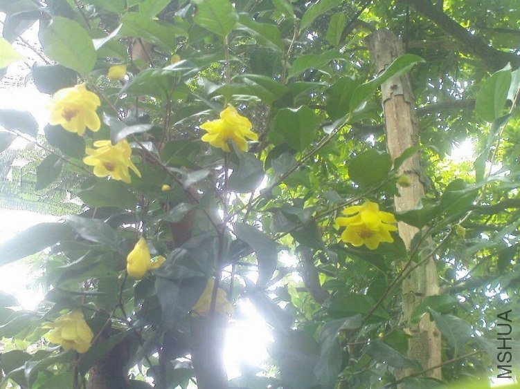 QQͼƬ20130710155134.jpg