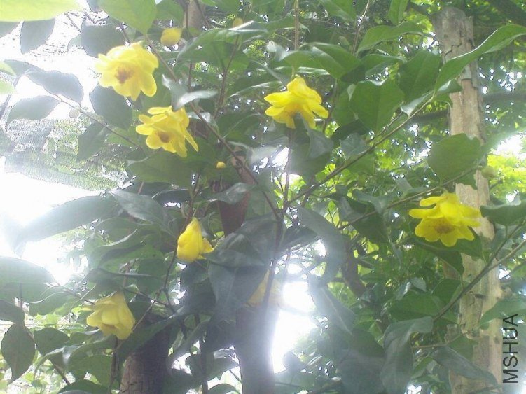 QQͼƬ20130710155140.jpg