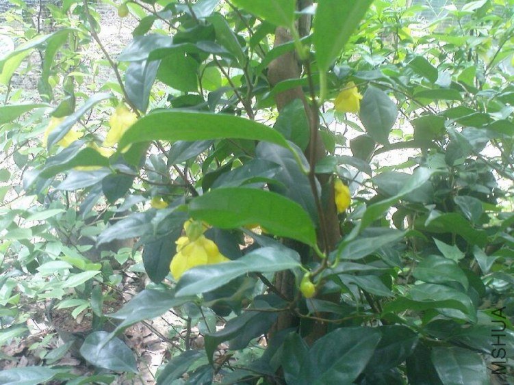 QQͼƬ20130710155227.jpg