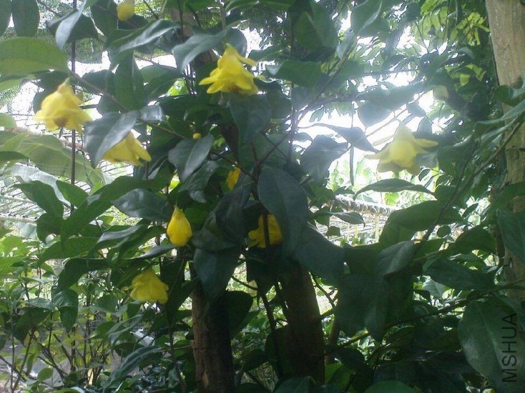 QQͼƬ20130710155238.jpg