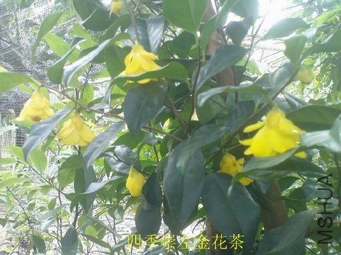 QQͼƬ20130710155330.jpg