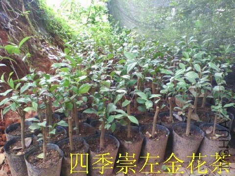 QQͼƬ20130710160944.jpg