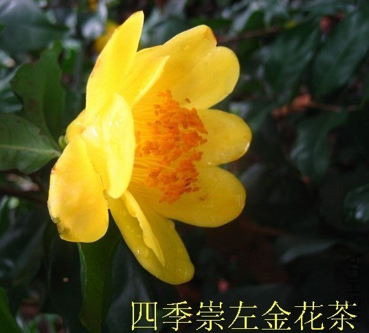 �𻨲� 003.jpg
