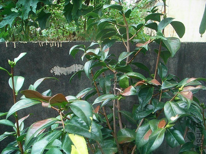 01.JPG