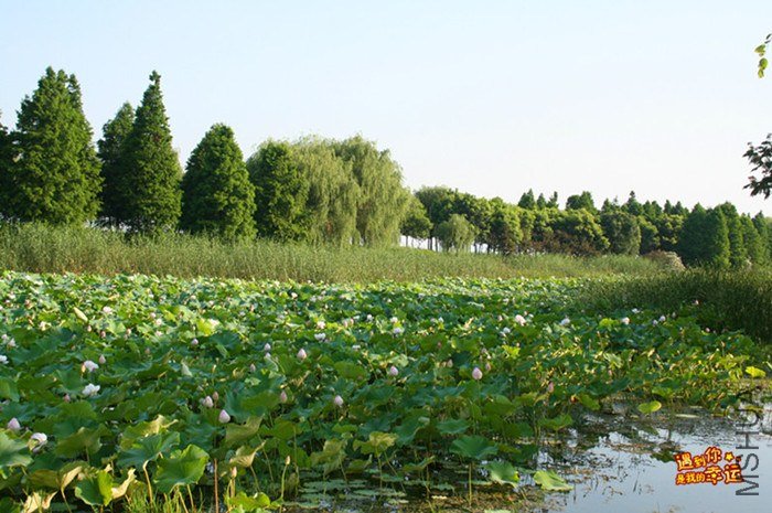 ��Ƭ 028a_����.jpg