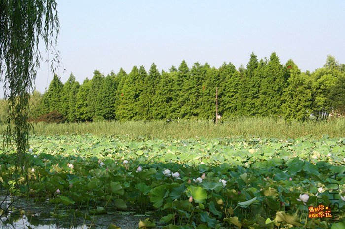 ��Ƭ 028b_����.jpg