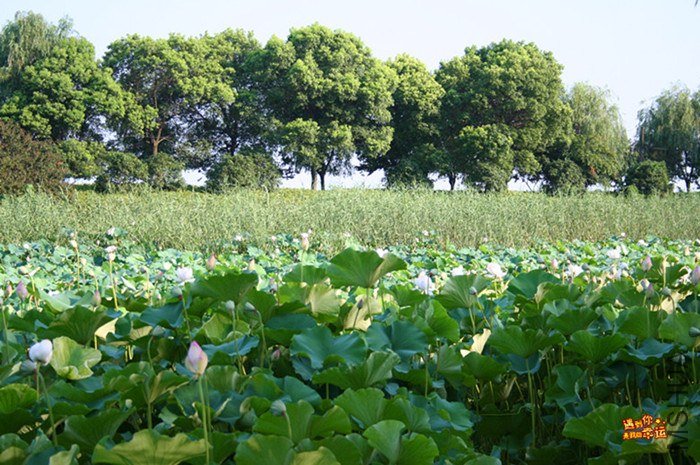 ��Ƭ 028c_����.jpg