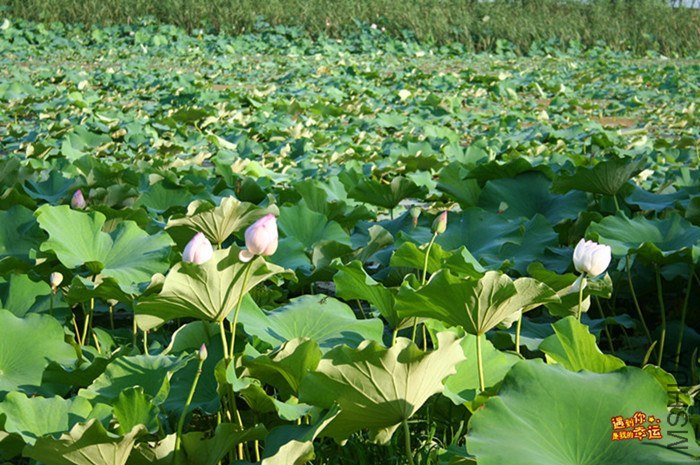 ��Ƭ 029_����.jpg