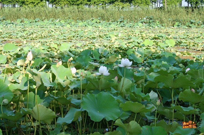 ��Ƭ 031_����.jpg