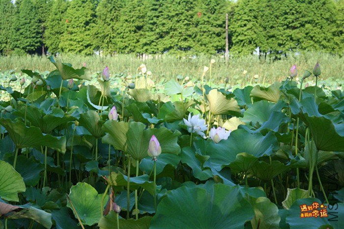 ��Ƭ 037_����.jpg