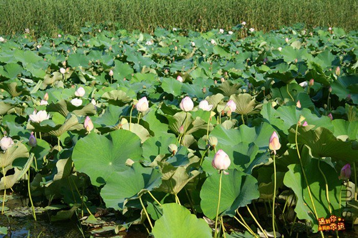 ��Ƭ 045_����.jpg