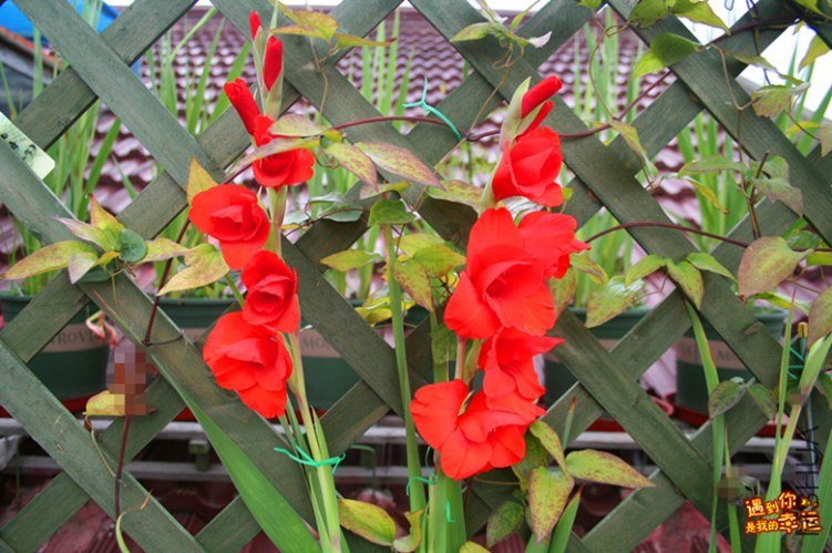 ��Ƭ 010_����.jpg