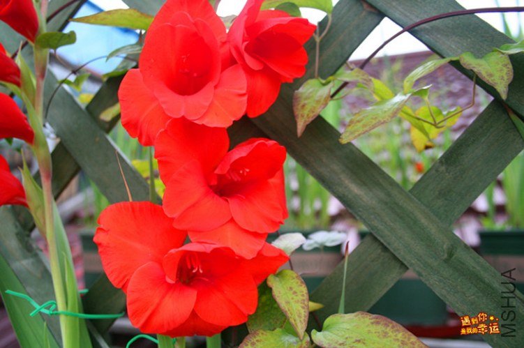 ��Ƭ 012_����.jpg