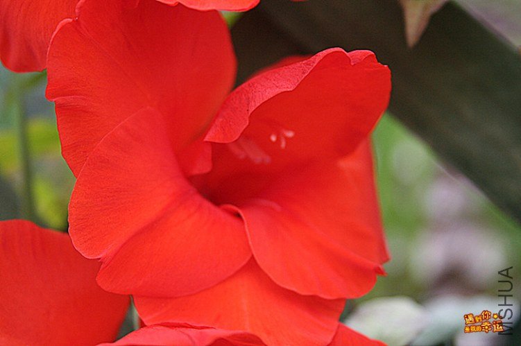 ��Ƭ 015_����.jpg