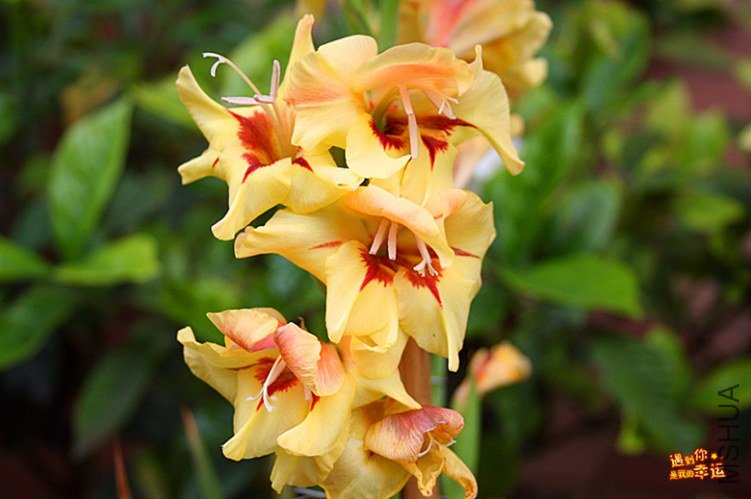 ��Ƭ 034a_����.jpg